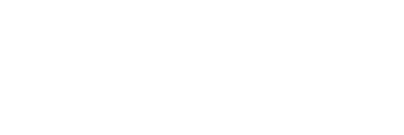 Accelero Consulting